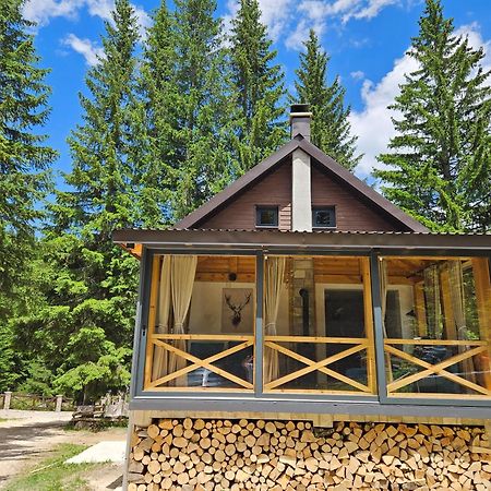 Black Lake Chalet Žabljak Zewnętrze zdjęcie