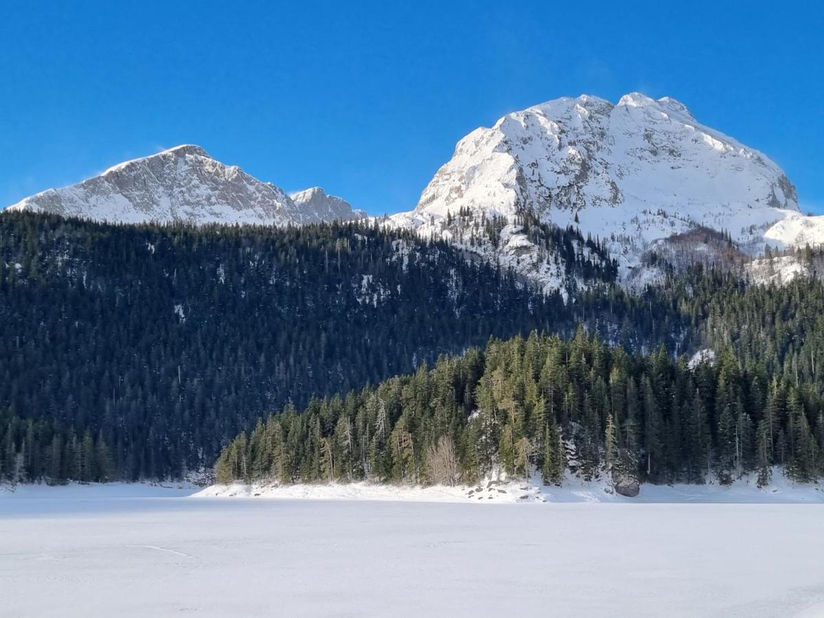 Black Lake Chalet Žabljak Zewnętrze zdjęcie