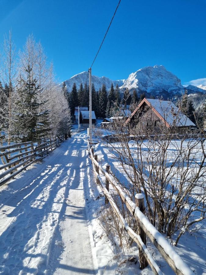 Black Lake Chalet Žabljak Zewnętrze zdjęcie