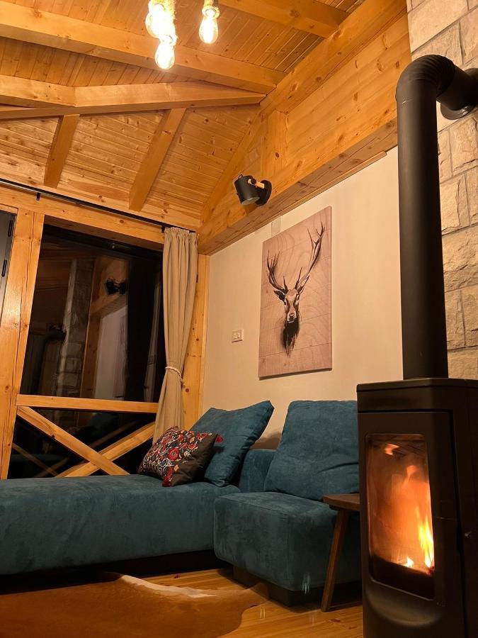 Black Lake Chalet Žabljak Zewnętrze zdjęcie