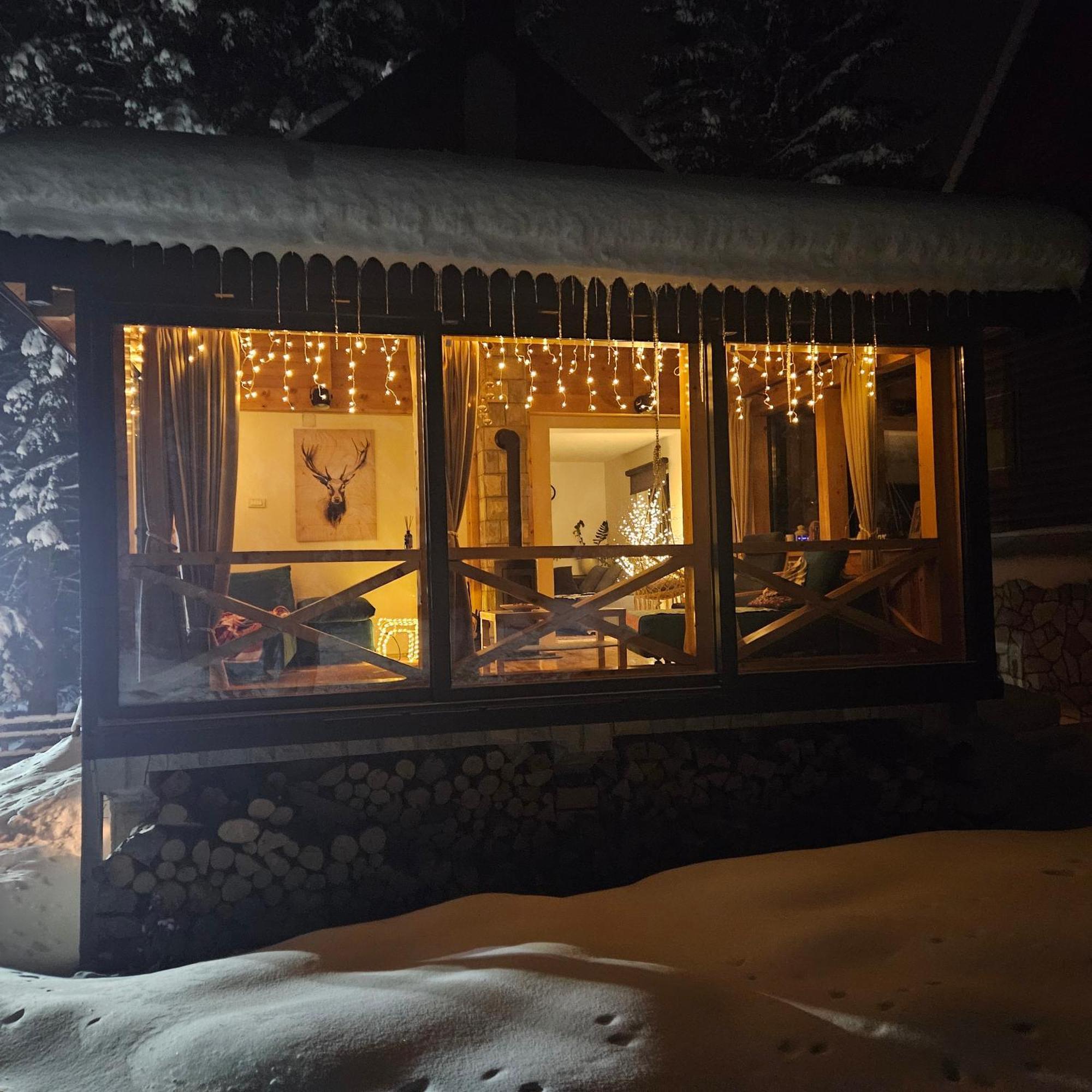 Black Lake Chalet Žabljak Zewnętrze zdjęcie